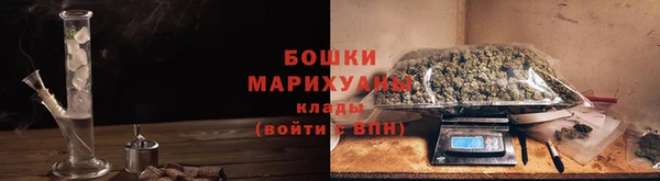 гидра Верея