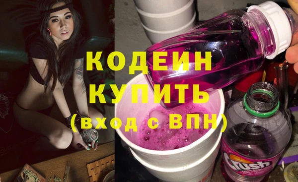 стаф Бородино