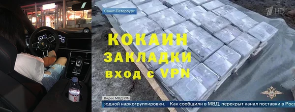 стаф Бородино